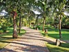 Pandanus Resort